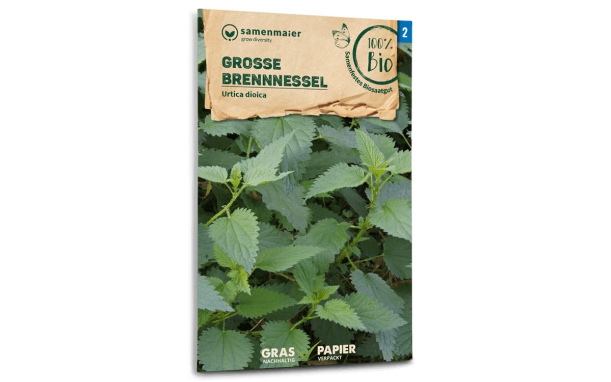 Große Brennnessel