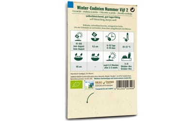 Winter Endivie Vijf 2