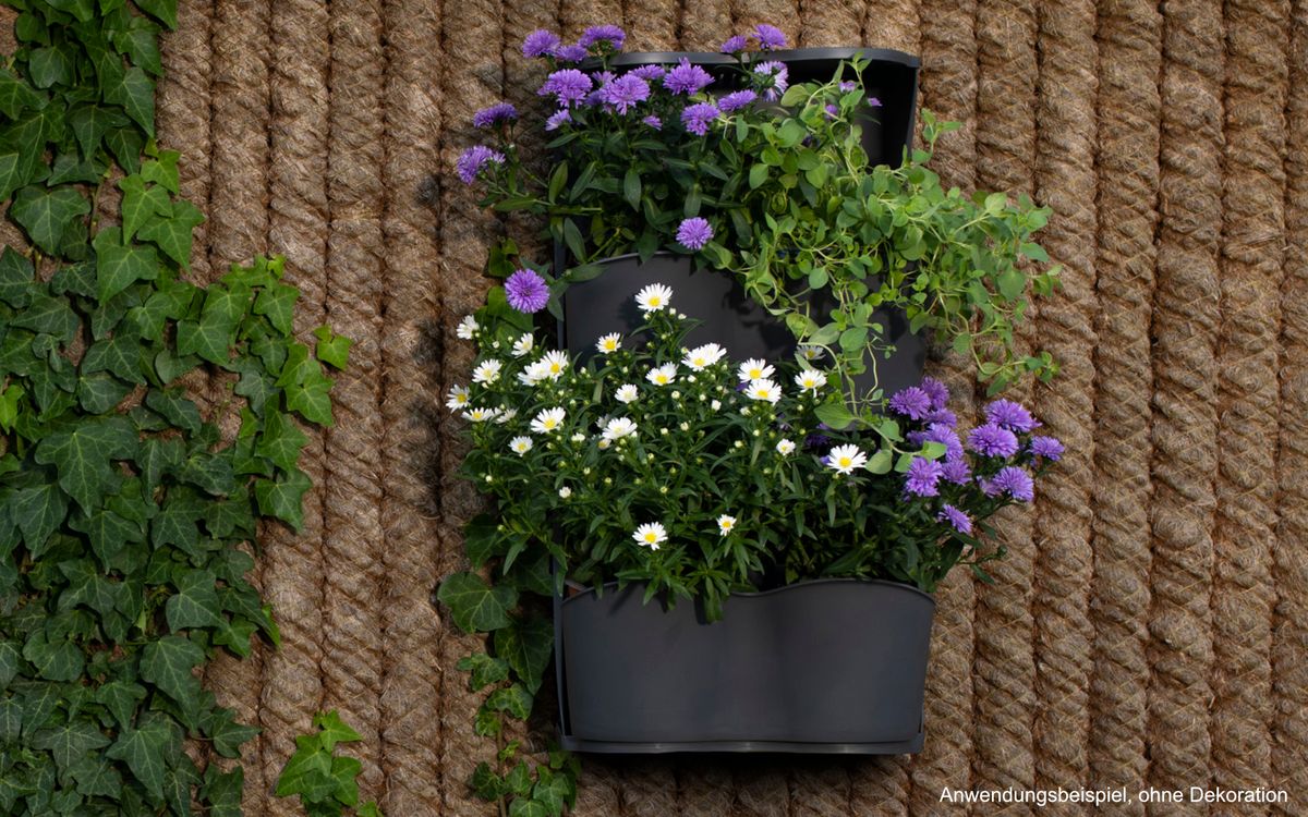 BoQube Flexi Garden - Anthrazit