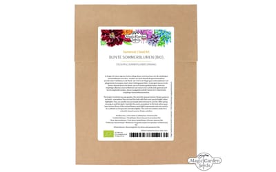 Bunte Sommerblumen
