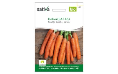 Deliva (SAT 46)