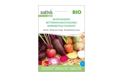 Bunte Randen