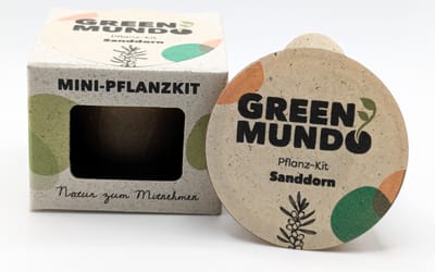 Pflanz-Kit Sanddorn