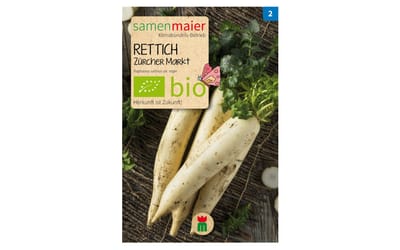Rettich Zürcher Markt