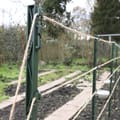 Vorschaubild 2