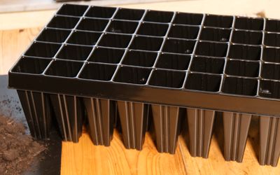 40er Multi-Topfplatte Baumschule