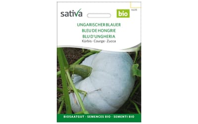Ungarischer Blauer