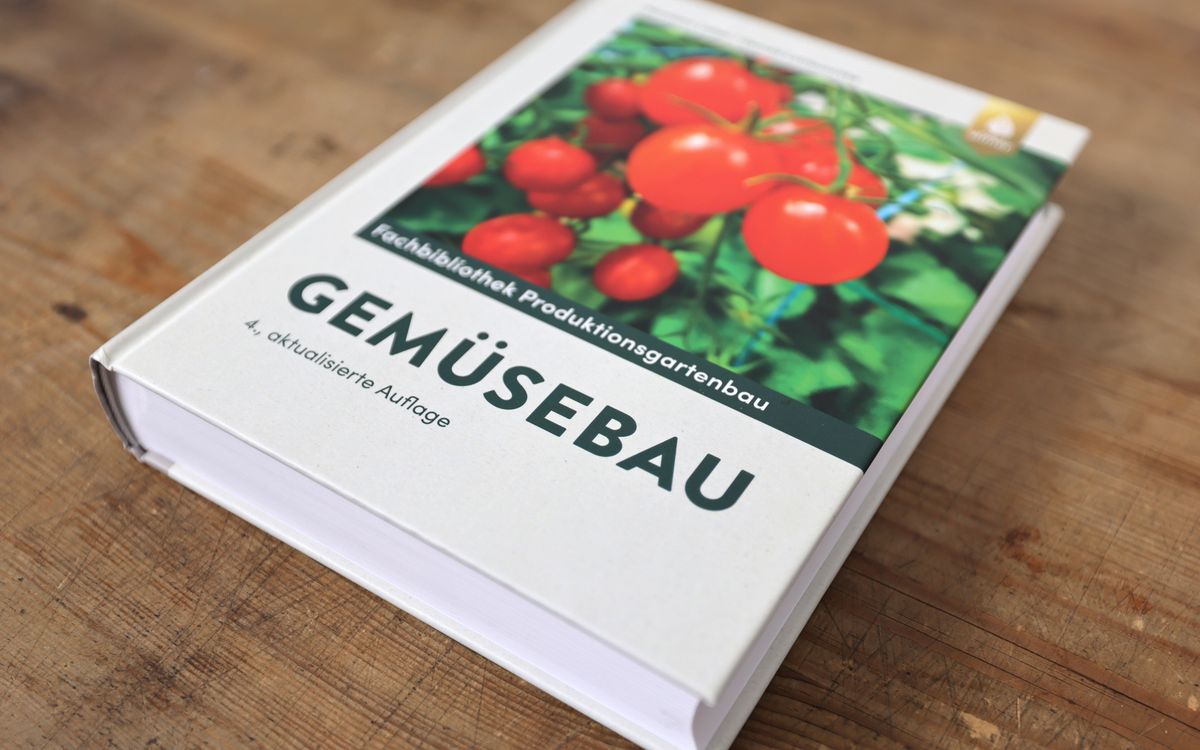 Gemüsebau
