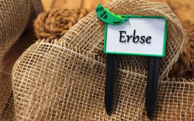 Gemüseschild Erbse