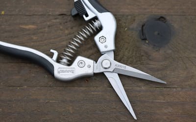 Spitzschere - 6 cm Klingenlänge
