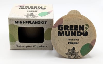 Pflanz-Kit Flieder