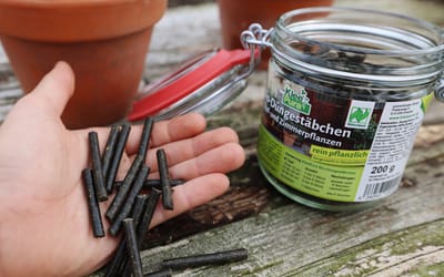 Kleepura Düngestäbchen im Einmach-Glas