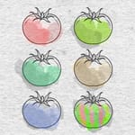 Tomaten nach Fruchtfarbe