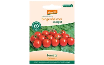Freilandtomate Philamina