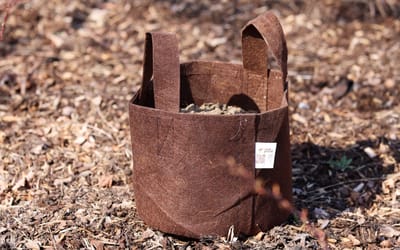 Pflanzsack Root Pouch - 12 Liter