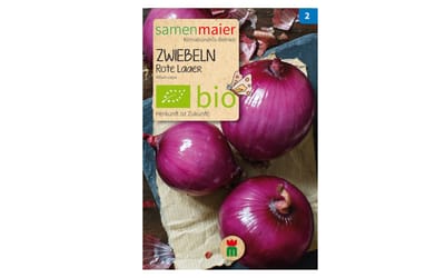 Rote Zwiebel Laaer