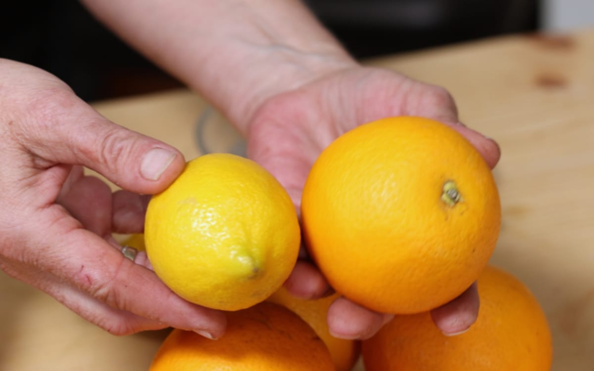 Orangen und Zitronen
