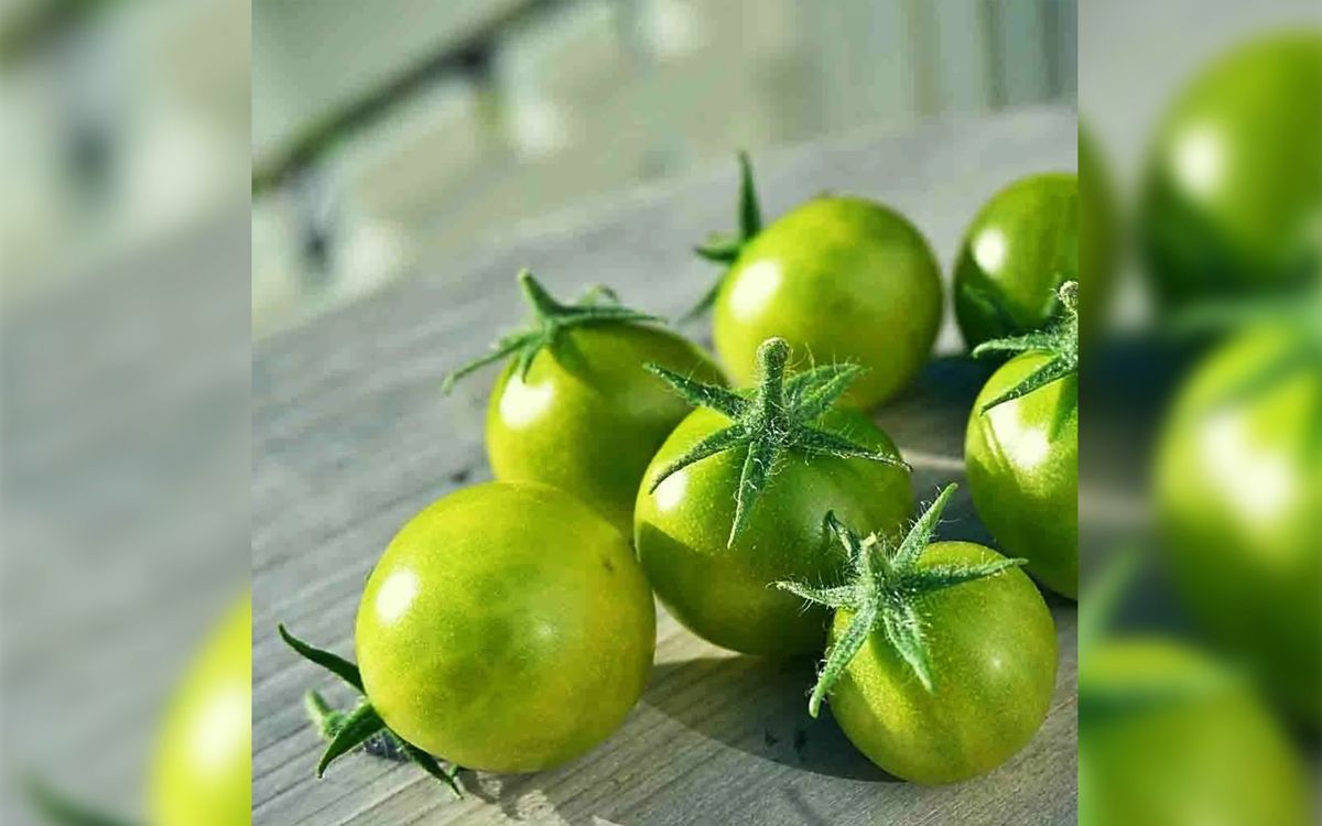 Dwarf Grinch Cherry