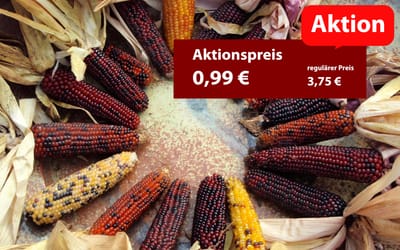 Mais Karibik