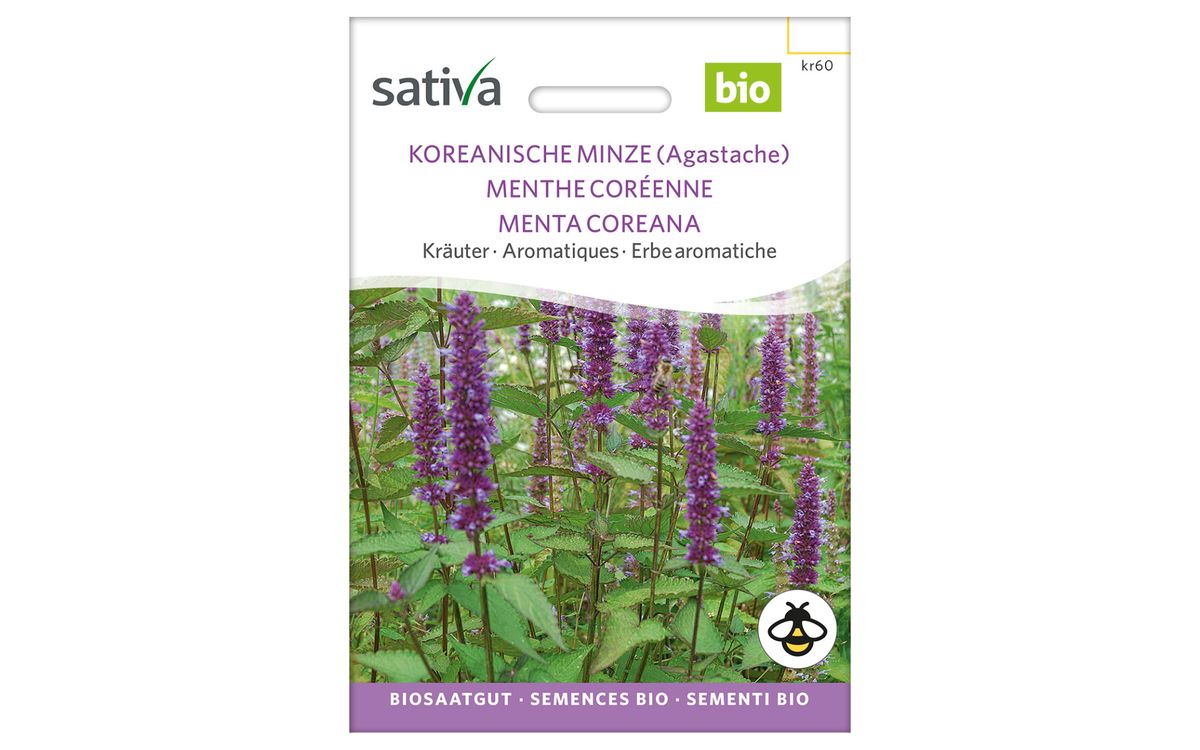 Koreanische Minze