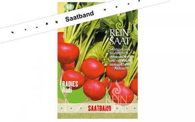 Radieschen Rudi - Saatband
