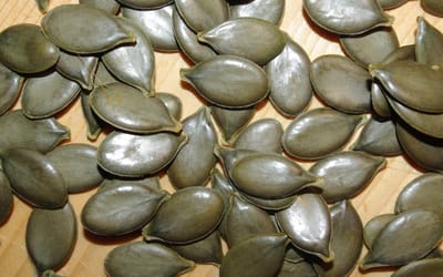 Gleisdorfer Ölkürbis