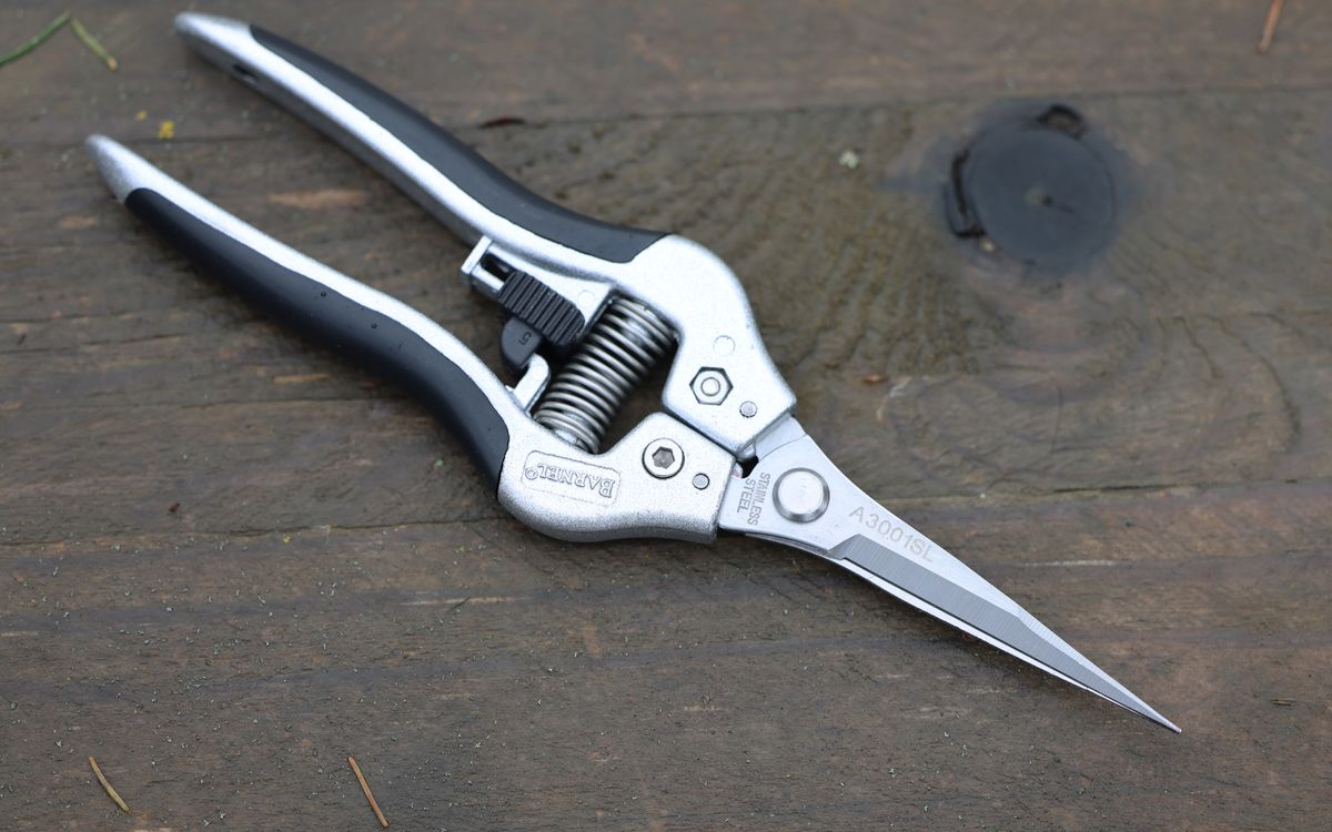 Spitzschere - 7,5 cm Klingenlänge