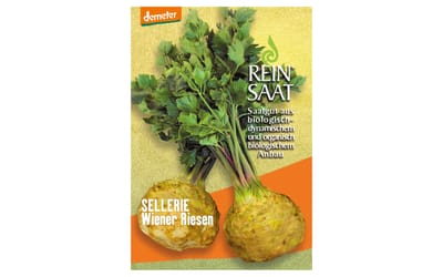 Wiener Riesen