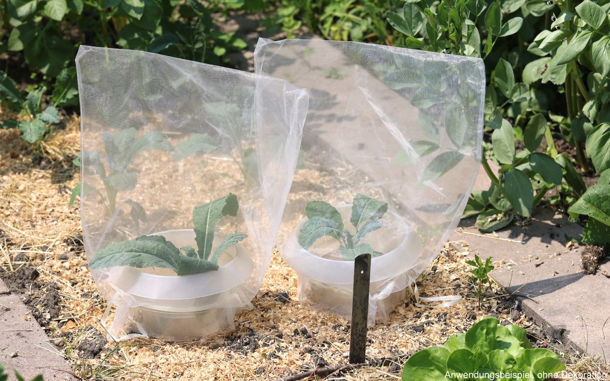 Schnecken- und Insektenschutzbeutel - 10 Beutel