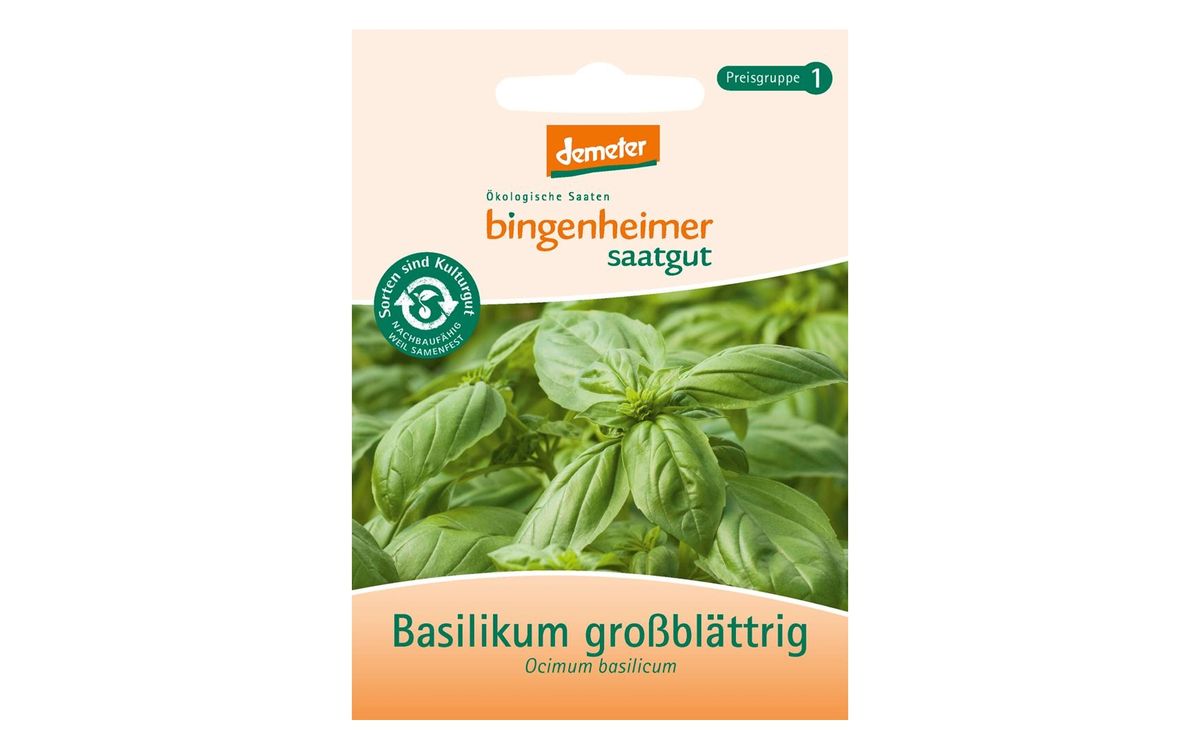 Basilikum großblättrig