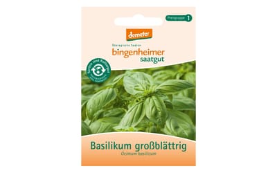 Basilikum großblättrig