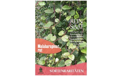 Malabarspinat, rot