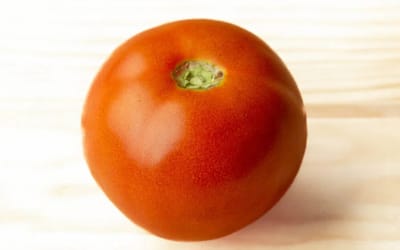 Tomate Popovich