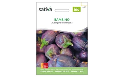 Cocktail-Aubergine Bambino 