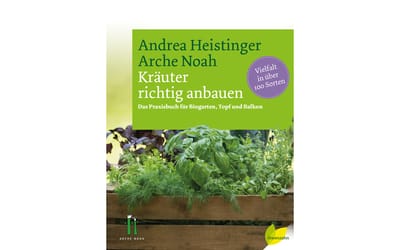 Kräuter richtig anbauen