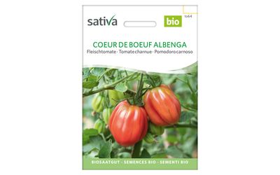 Coeur de Boeuf Albenga