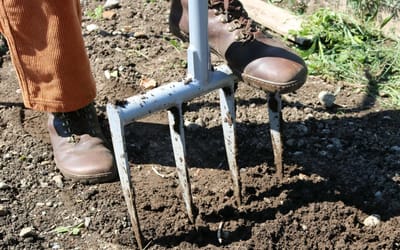 Terradix Broadfork 4×250