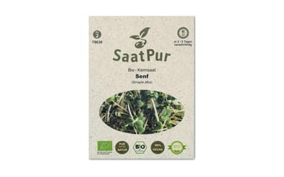 BIO-Keimsprossen Senf Mustard