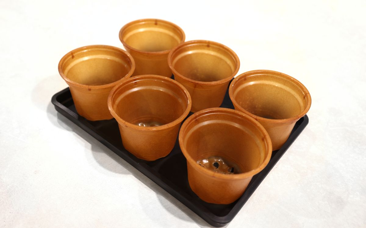 Untersetzer für Saatgutschalen aus Naturkautschuk - Set mit 6 großen Pflanztöpfen