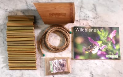 Wildbienen Bambusröhre