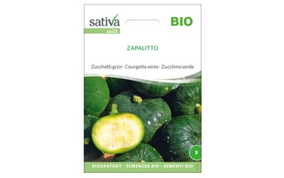 Zapalitto