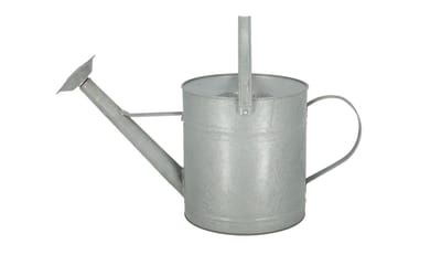 Altzink Gießkanne - Regensammler