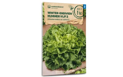 Winter Endivie Vijf 2
