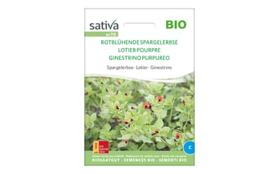 Rotblühende Spargelerbse