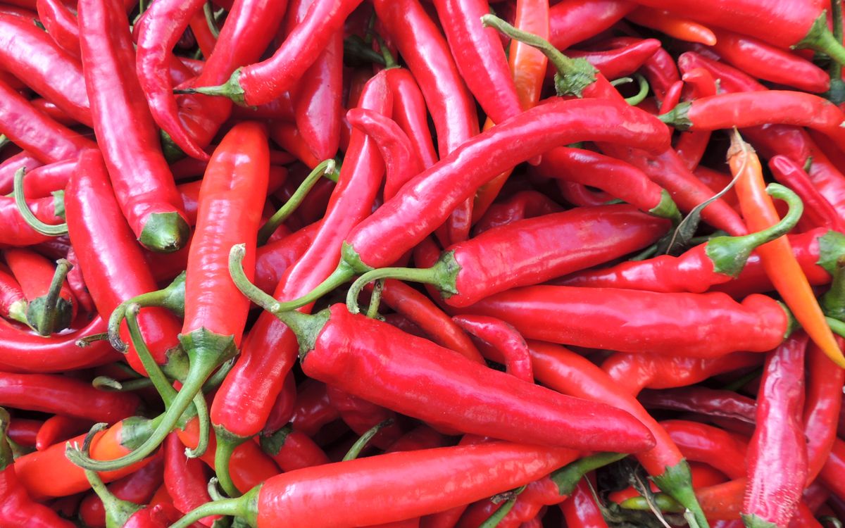 Chili Hong Gochu 