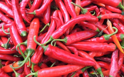Chili Hong Gochu 