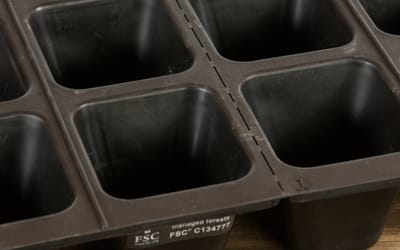 Saatgutschale aus Naturkautschuk 12 Zellen - Saatgutschale