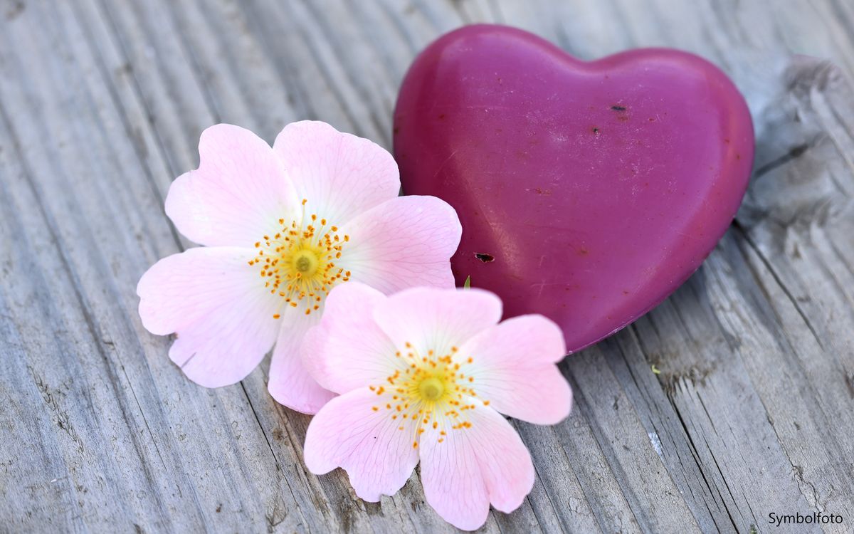 Schafmilchseife Herz mit Rosenblütenblättern