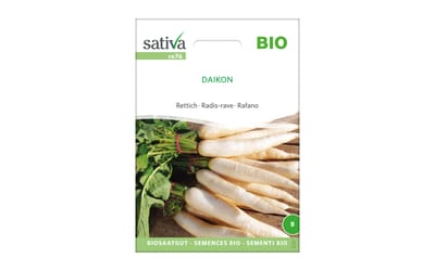 Daikon Rettich
