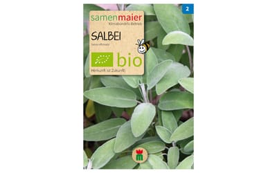 Salbei